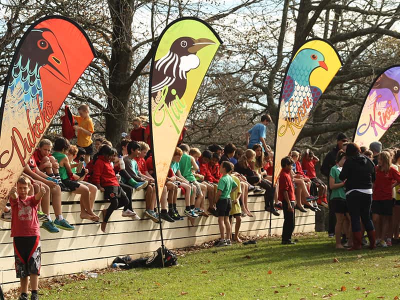 3.3m high Teardrop flags at a school sports day - Displays 2 Go