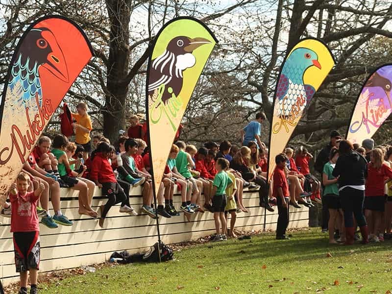 3.3m high Teardrop flags at a school sports day - Displays2Go