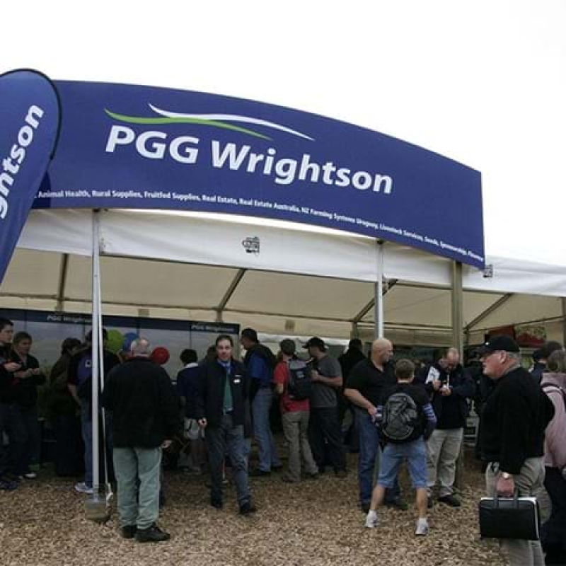 Giant header board - Displays2Go