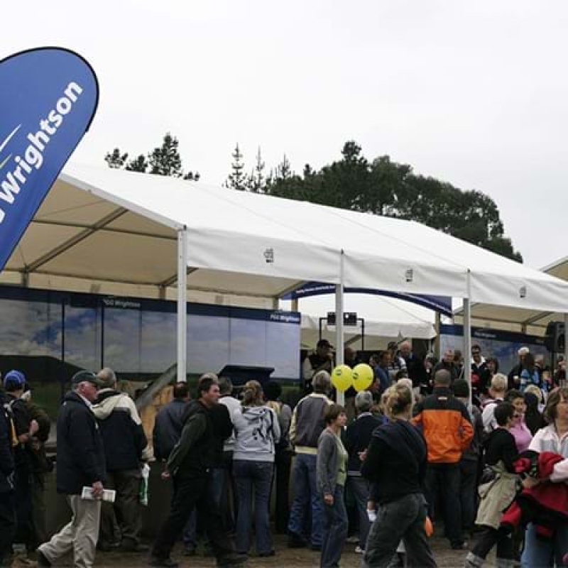 Flags and marquee - Displays2Go
