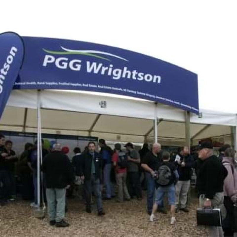 Teardrop flags with marquee - Displays2Go